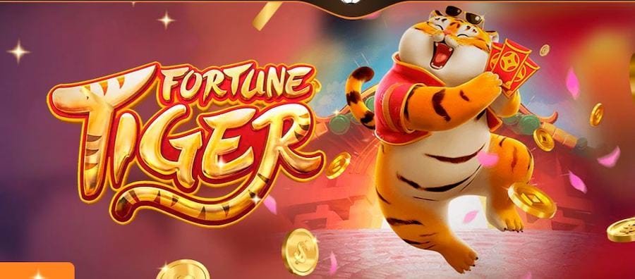 win11 মোবাইল স্পোর্টস বেটিং ইন্টারফেইস ও লাইভ ম্যাচ